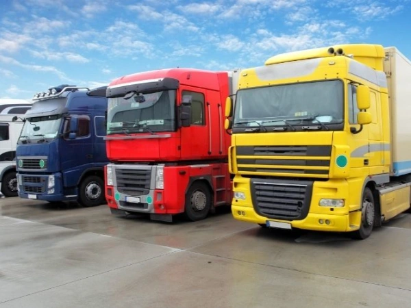 Antalya Kavak Nakliye